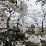 ヒメ日記 2025/04/09 07:18 投稿 りつ 大人の遊園痴「スピーディー」