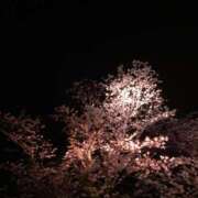 ヒメ日記 2025/04/09 17:18 投稿 りつ 大人の遊園痴「スピーディー」