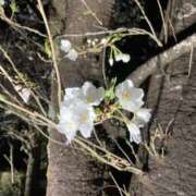 ヒメ日記 2025/04/10 02:50 投稿 りつ 大人の遊園痴「スピーディー」