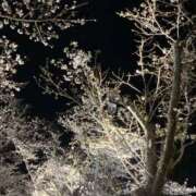 ヒメ日記 2025/04/11 08:08 投稿 りつ 大人の遊園痴「スピーディー」