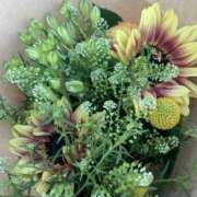 ヒメ日記 2025/04/15 22:38 投稿 りつ 大人の遊園痴「スピーディー」