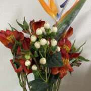 ヒメ日記 2025/04/21 07:28 投稿 りつ 大人の遊園痴「スピーディー」