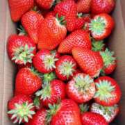 ヒメ日記 2025/04/21 07:48 投稿 りつ 大人の遊園痴「スピーディー」