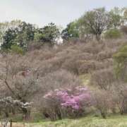 ヒメ日記 2025/04/24 14:28 投稿 りつ 大人の遊園痴「スピーディー」