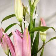 ヒメ日記 2025/05/10 08:48 投稿 りつ 大人の遊園痴「スピーディー」