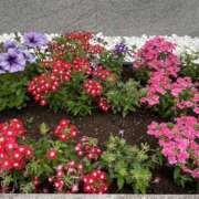 ヒメ日記 2025/05/10 09:18 投稿 りつ 大人の遊園痴「スピーディー」