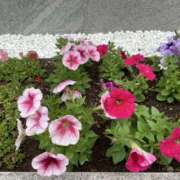 ヒメ日記 2025/05/10 14:08 投稿 りつ 大人の遊園痴「スピーディー」