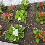 ヒメ日記 2025/05/10 23:28 投稿 りつ 大人の遊園痴「スピーディー」