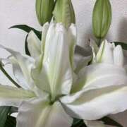 ヒメ日記 2025/05/12 22:22 投稿 りつ 大人の遊園痴「スピーディー」