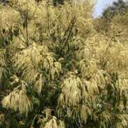 ヒメ日記 2025/05/14 07:08 投稿 りつ 大人の遊園痴「スピーディー」