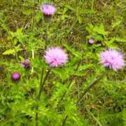 ヒメ日記 2025/05/18 17:38 投稿 りつ 大人の遊園痴「スピーディー」