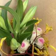 ヒメ日記 2025/05/24 00:08 投稿 りつ 大人の遊園痴「スピーディー」