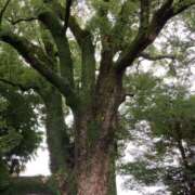 ヒメ日記 2025/05/25 08:48 投稿 りつ 大人の遊園痴「スピーディー」