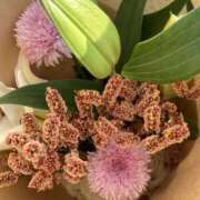 ヒメ日記 2025/06/01 08:28 投稿 りつ 大人の遊園痴「スピーディー」