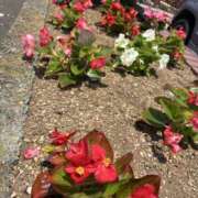 ヒメ日記 2025/06/01 09:08 投稿 りつ 大人の遊園痴「スピーディー」