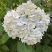 ヒメ日記 2025/06/03 09:08 投稿 りつ 大人の遊園痴「スピーディー」