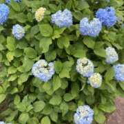 ヒメ日記 2025/06/04 08:42 投稿 りつ 大人の遊園痴「スピーディー」