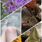 ヒメ日記 2025/06/09 07:48 投稿 りつ 大人の遊園痴「スピーディー」