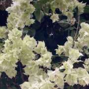 ヒメ日記 2025/06/14 08:08 投稿 りつ 大人の遊園痴「スピーディー」