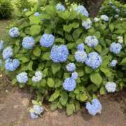 ヒメ日記 2025/06/14 08:18 投稿 りつ 大人の遊園痴「スピーディー」