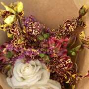 ヒメ日記 2025/06/23 09:38 投稿 りつ 大人の遊園痴「スピーディー」