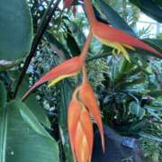 ヒメ日記 2025/06/25 23:48 投稿 りつ 大人の遊園痴「スピーディー」