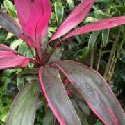 ヒメ日記 2025/06/27 23:58 投稿 りつ 大人の遊園痴「スピーディー」