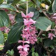 ヒメ日記 2025/06/28 00:18 投稿 りつ 大人の遊園痴「スピーディー」