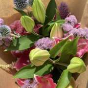 ヒメ日記 2025/07/02 17:18 投稿 りつ 大人の遊園痴「スピーディー」