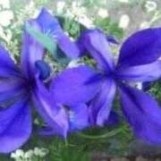 ヒメ日記 2025/07/18 08:38 投稿 りつ 大人の遊園痴「スピーディー」