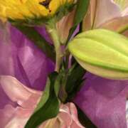 ヒメ日記 2025/07/28 12:18 投稿 りつ 大人の遊園痴「スピーディー」