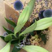 ヒメ日記 2025/07/28 21:58 投稿 りつ 大人の遊園痴「スピーディー」