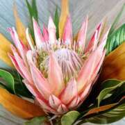 ヒメ日記 2025/07/31 17:48 投稿 りつ 大人の遊園痴「スピーディー」