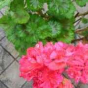 ヒメ日記 2025/08/09 22:08 投稿 りつ 大人の遊園痴「スピーディー」