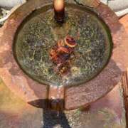 ヒメ日記 2025/08/22 09:18 投稿 りつ 大人の遊園痴「スピーディー」