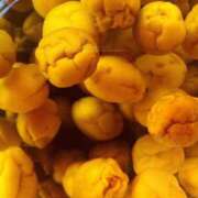 ヒメ日記 2025/08/28 17:08 投稿 りつ 大人の遊園痴「スピーディー」