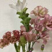 ヒメ日記 2025/08/29 07:58 投稿 りつ 大人の遊園痴「スピーディー」