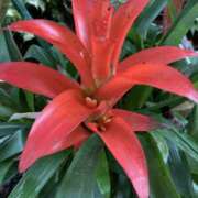 ヒメ日記 2025/08/29 23:58 投稿 りつ 大人の遊園痴「スピーディー」