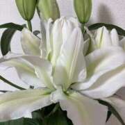 ヒメ日記 2025/09/01 08:48 投稿 りつ 大人の遊園痴「スピーディー」