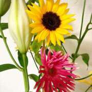 ヒメ日記 2025/09/02 23:08 投稿 りつ 大人の遊園痴「スピーディー」