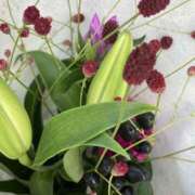 ヒメ日記 2025/09/16 09:02 投稿 りつ 大人の遊園痴「スピーディー」