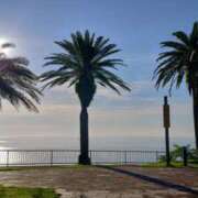 ヒメ日記 2025/09/18 06:58 投稿 りつ 大人の遊園痴「スピーディー」