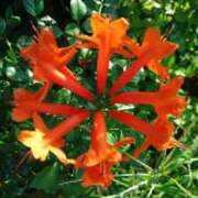 ヒメ日記 2025/09/20 08:38 投稿 りつ 大人の遊園痴「スピーディー」