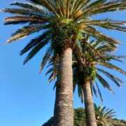 ヒメ日記 2025/09/24 16:28 投稿 りつ 大人の遊園痴「スピーディー」