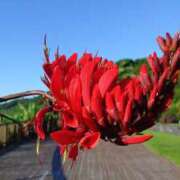 ヒメ日記 2025/09/25 21:38 投稿 りつ 大人の遊園痴「スピーディー」