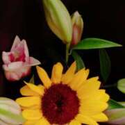 ヒメ日記 2025/09/26 22:38 投稿 りつ 大人の遊園痴「スピーディー」