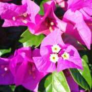 ヒメ日記 2025/09/29 09:48 投稿 りつ 大人の遊園痴「スピーディー」