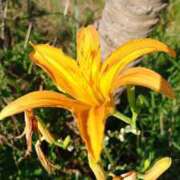 ヒメ日記 2025/09/29 22:48 投稿 りつ 大人の遊園痴「スピーディー」