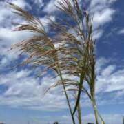 ヒメ日記 2025/10/03 15:48 投稿 りつ 大人の遊園痴「スピーディー」