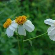 ヒメ日記 2025/10/15 22:18 投稿 りつ 大人の遊園痴「スピーディー」